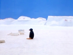 پینگو (فصل 1 - قسمت 8)